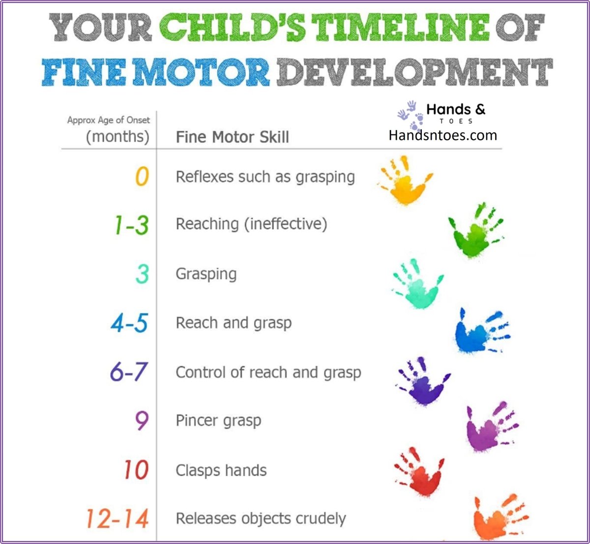 BABY MILESTONES: 4 MONTHS TO 1 YEAR: – Hands & Toes
