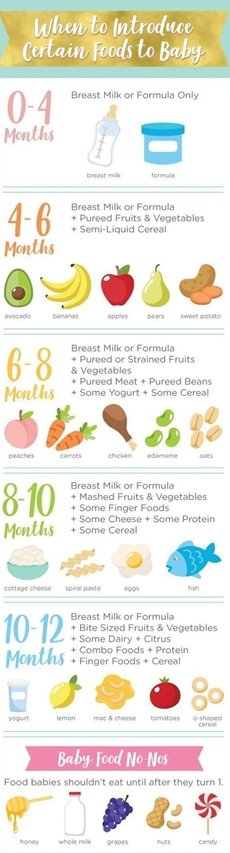 Introducing Baby to Solids Feeding Schedule– Hands & Toes