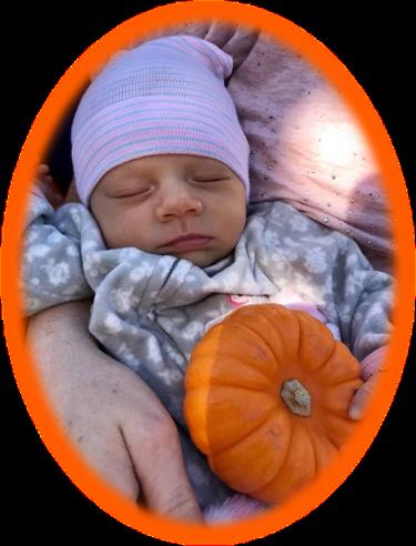 Baby Holidays - Hands & Toes